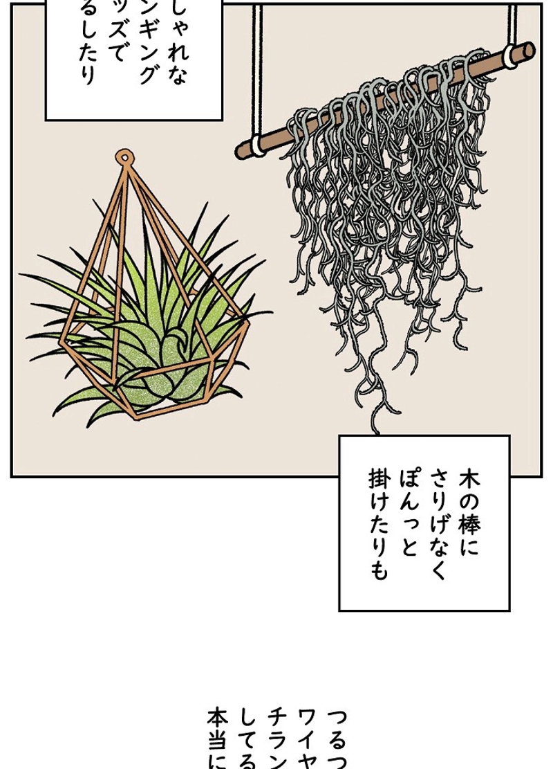 クレイジーガーデナー ~植物マニアの日常~ 第32話 - Page 42