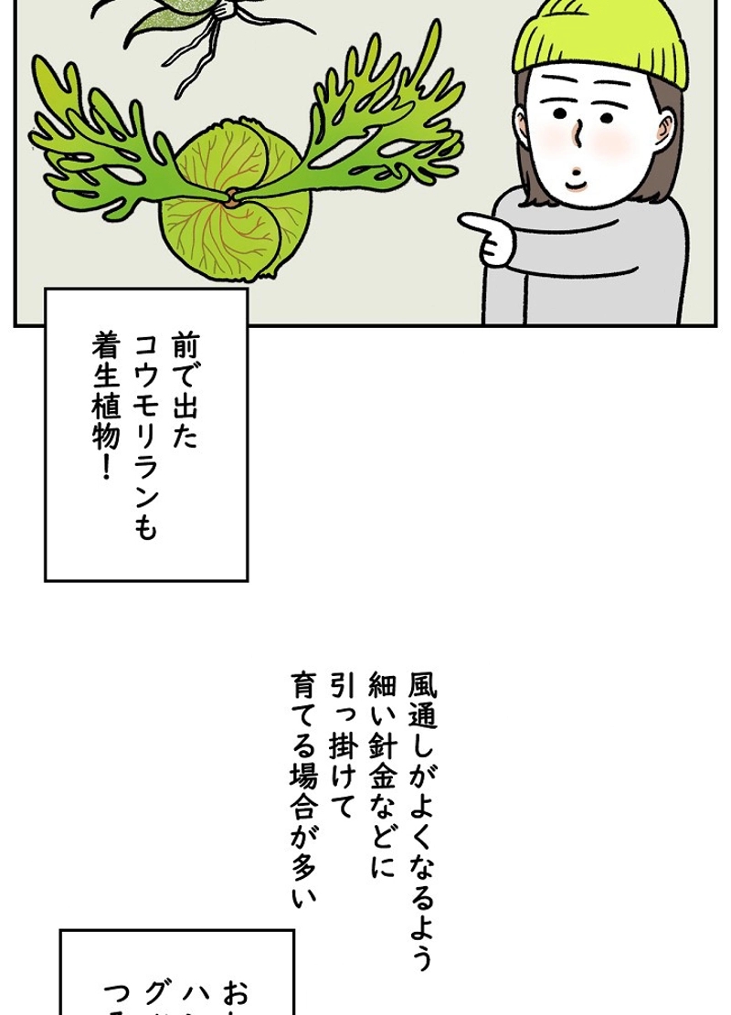 クレイジーガーデナー ~植物マニアの日常~ 第32話 - Page 41