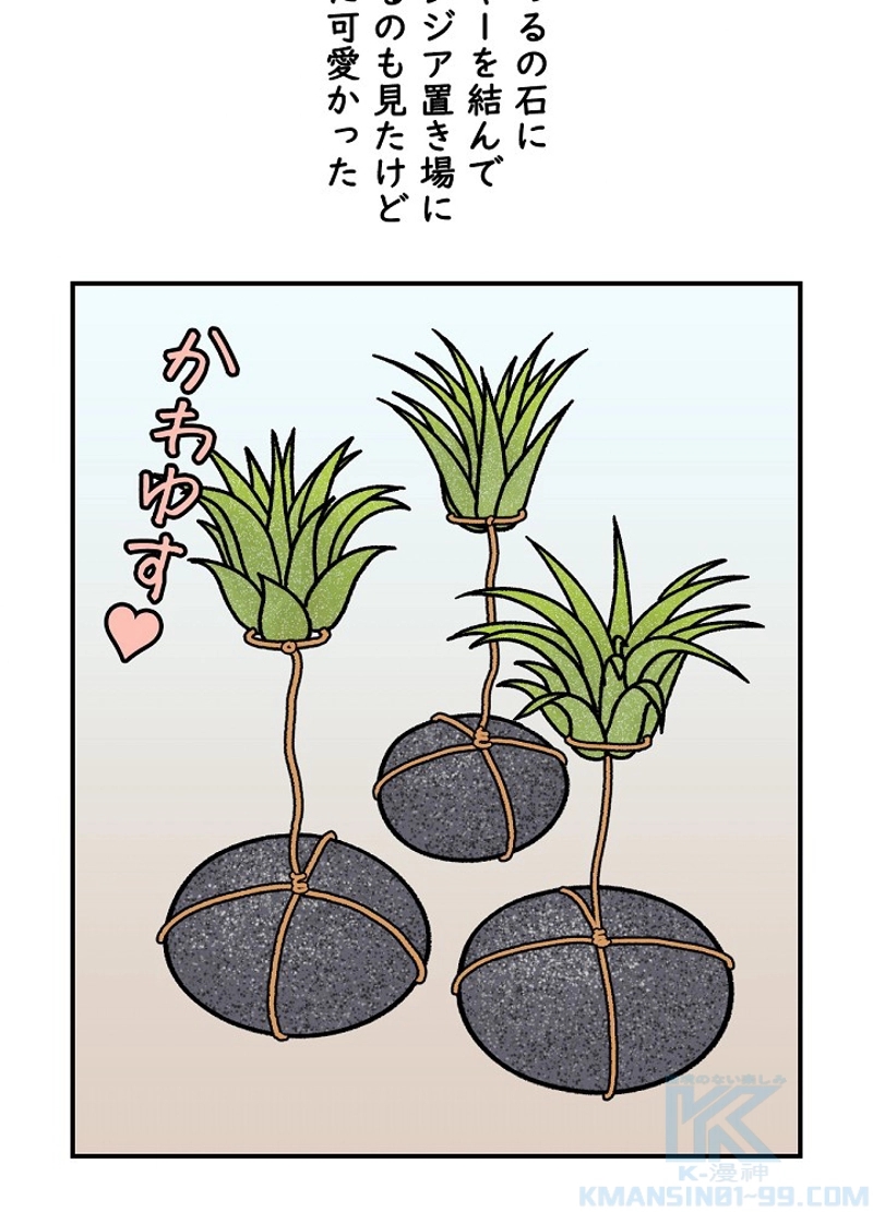 クレイジーガーデナー ~植物マニアの日常~ 第32話 - Page 43