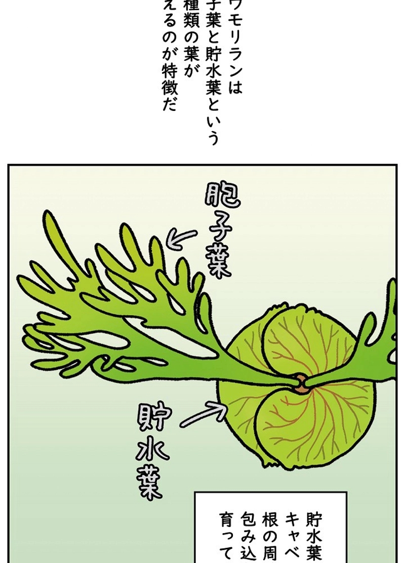 クレイジーガーデナー ~植物マニアの日常~ 第32話 - Page 9