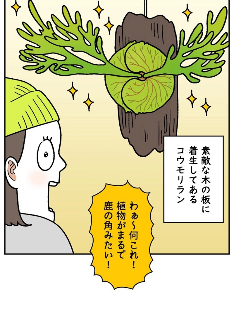 クレイジーガーデナー ~植物マニアの日常~ 第32話 - Page 5