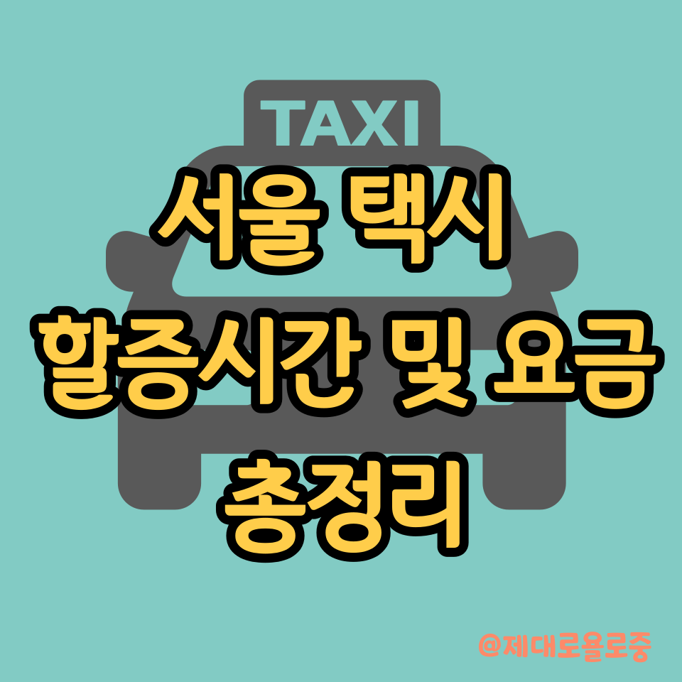 서울 택시 심야 할증 요금표
